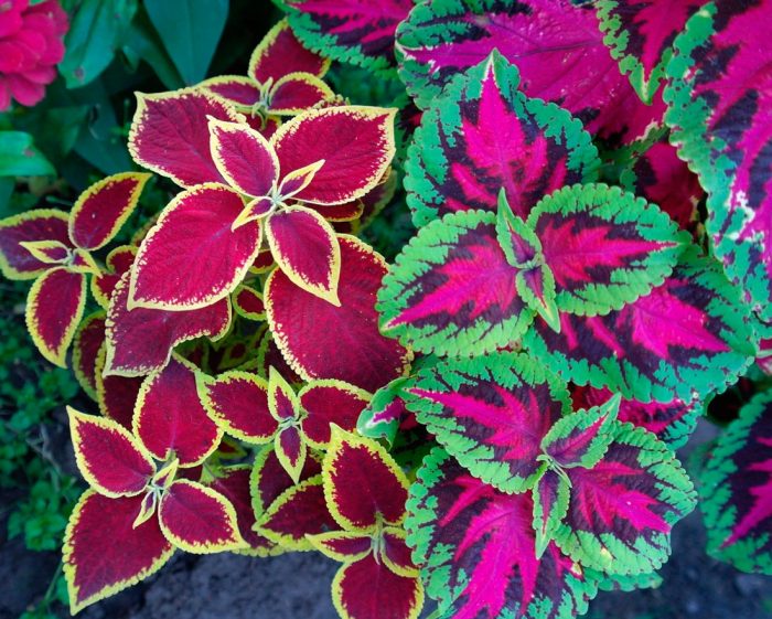 Фото товара відсутнє