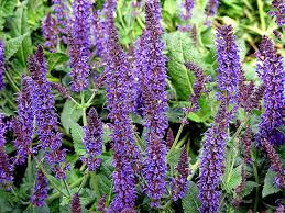 Фото товара відсутнє