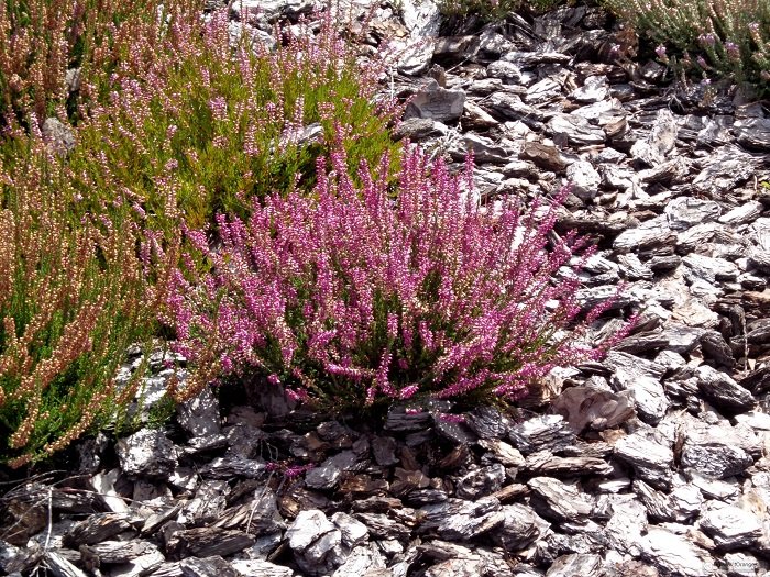 Фото товара відсутнє