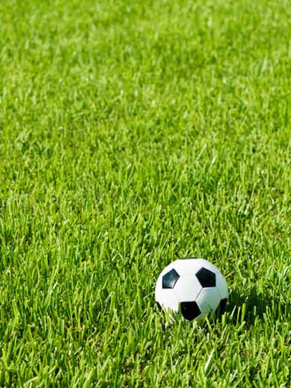 Фото товара відсутнє