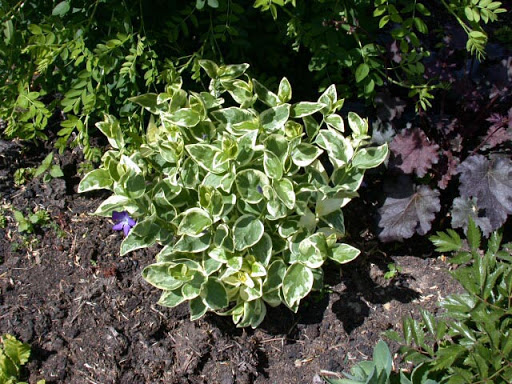 Фото товара відсутнє