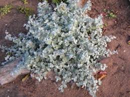 Фото товара відсутнє