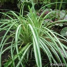 Фото товара відсутнє