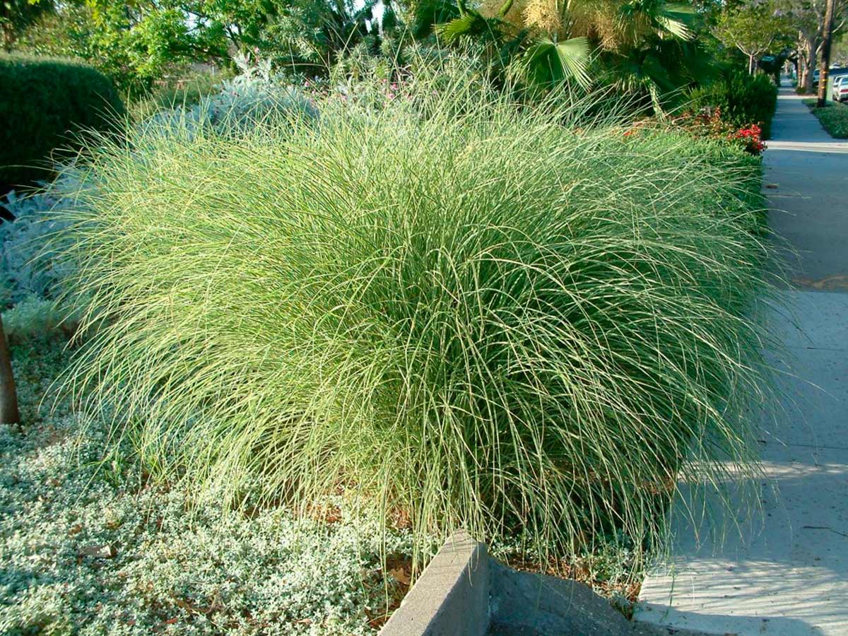 Фото товара відсутнє