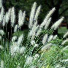 Фото товара відсутнє