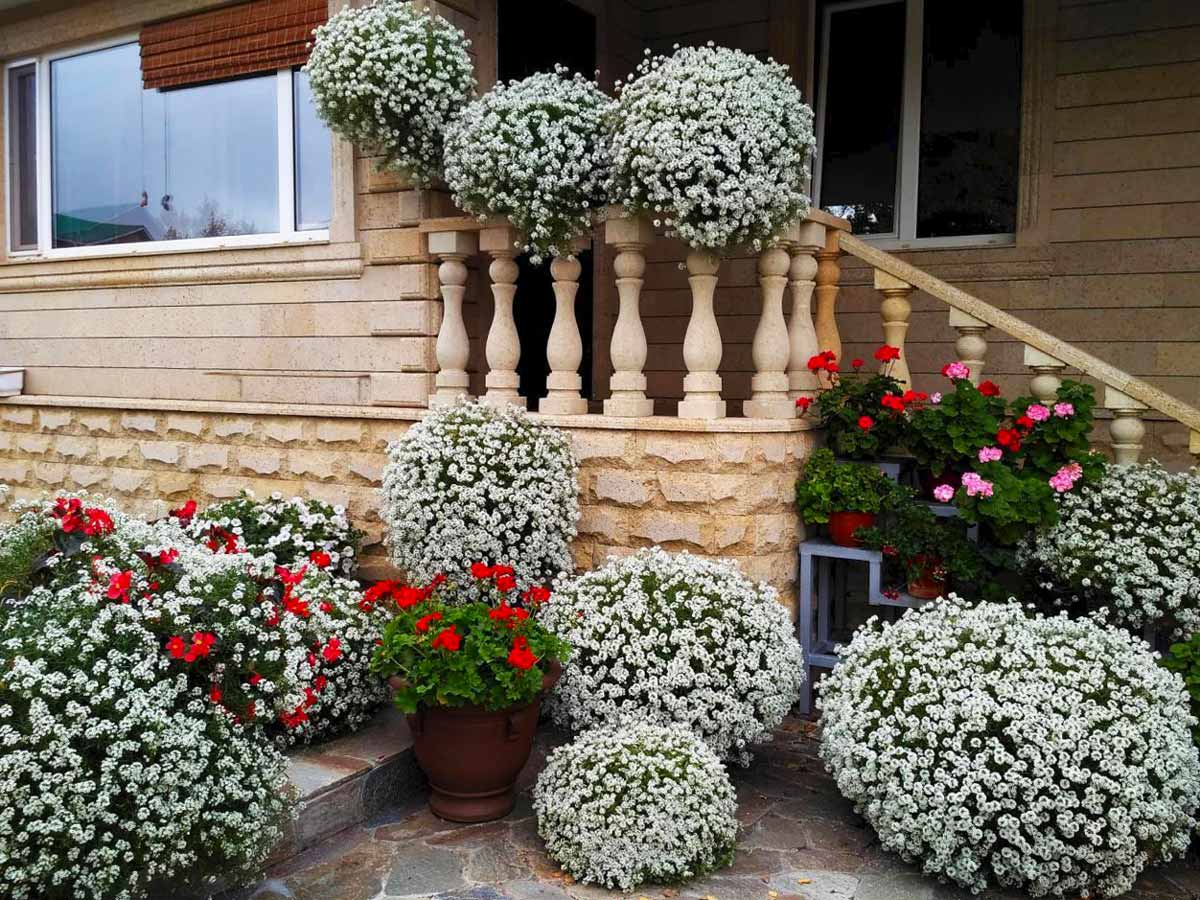 Фото товара відсутнє